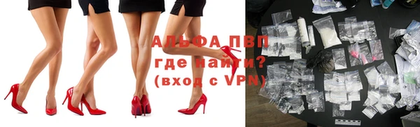 индика Лихославль