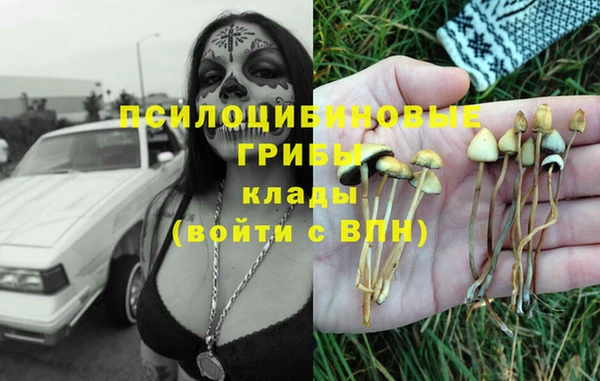 mdma Костерёво