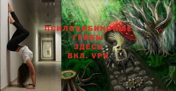 тгк Корсаков