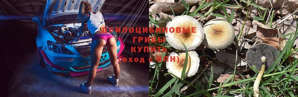 дмт Коряжма