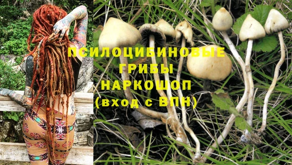 тгк Корсаков